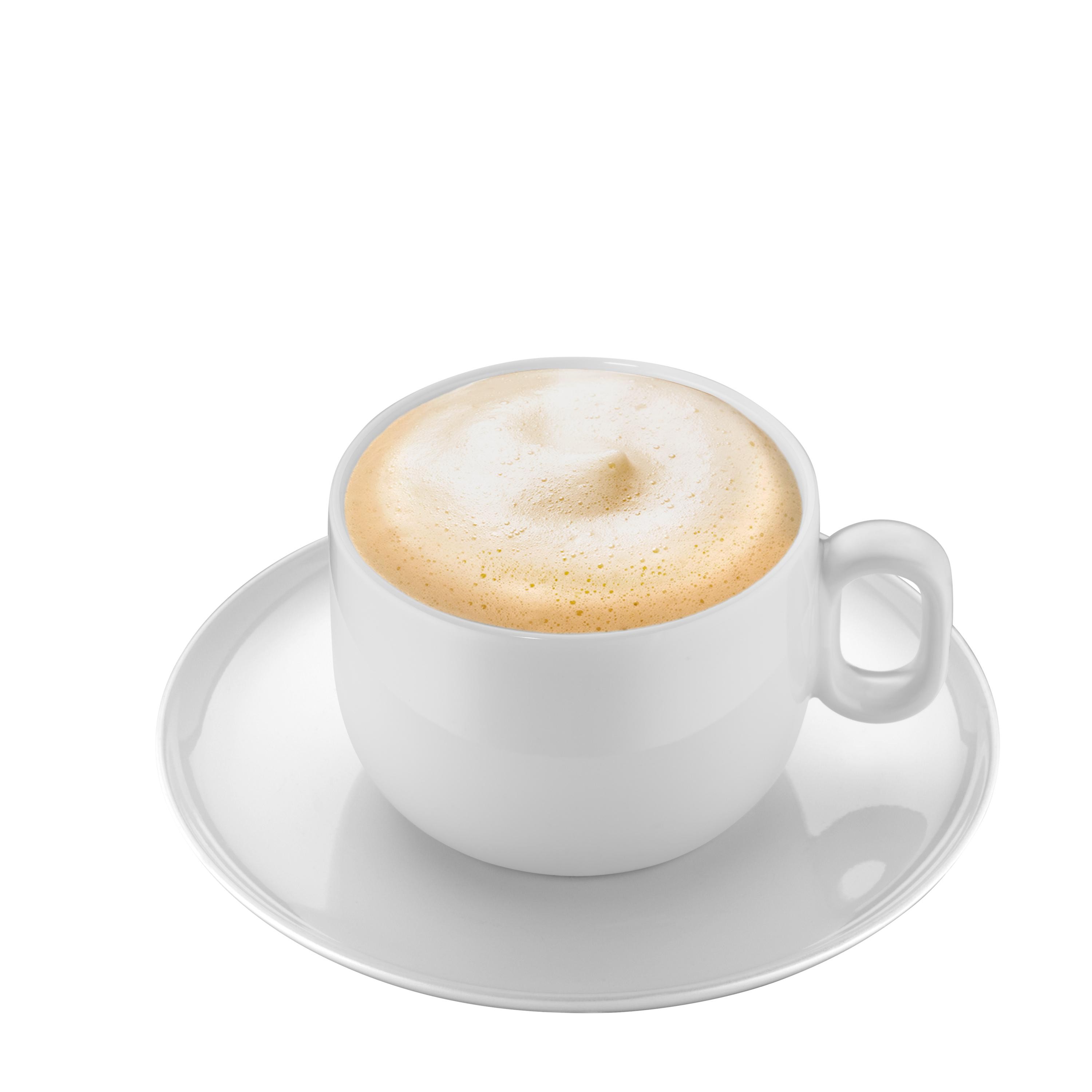 WMF Barista Cappuccino-Set 2tl