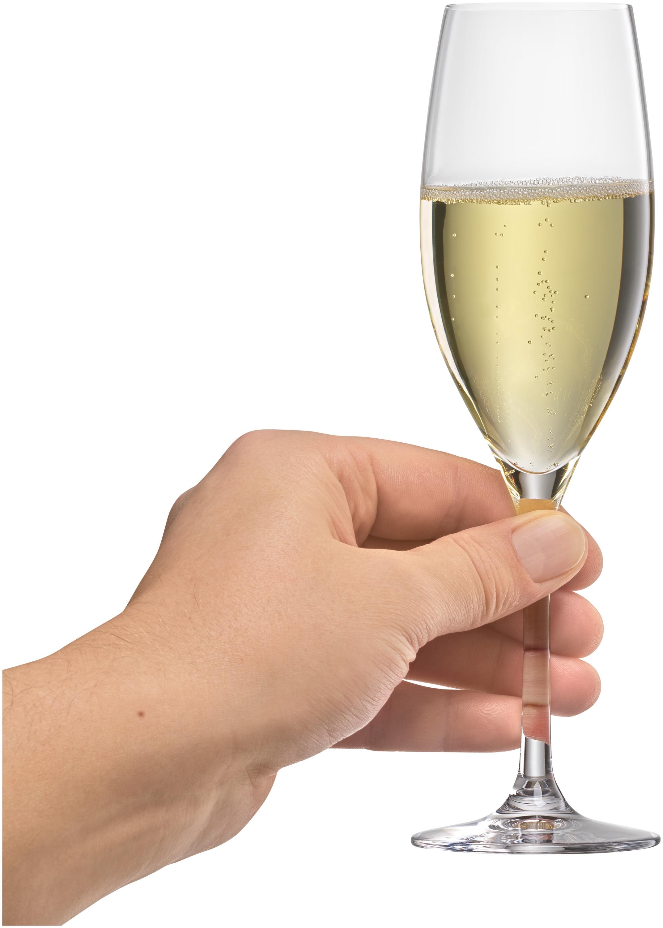 WMF Champagnerkelch EasyPlus 6 Stück